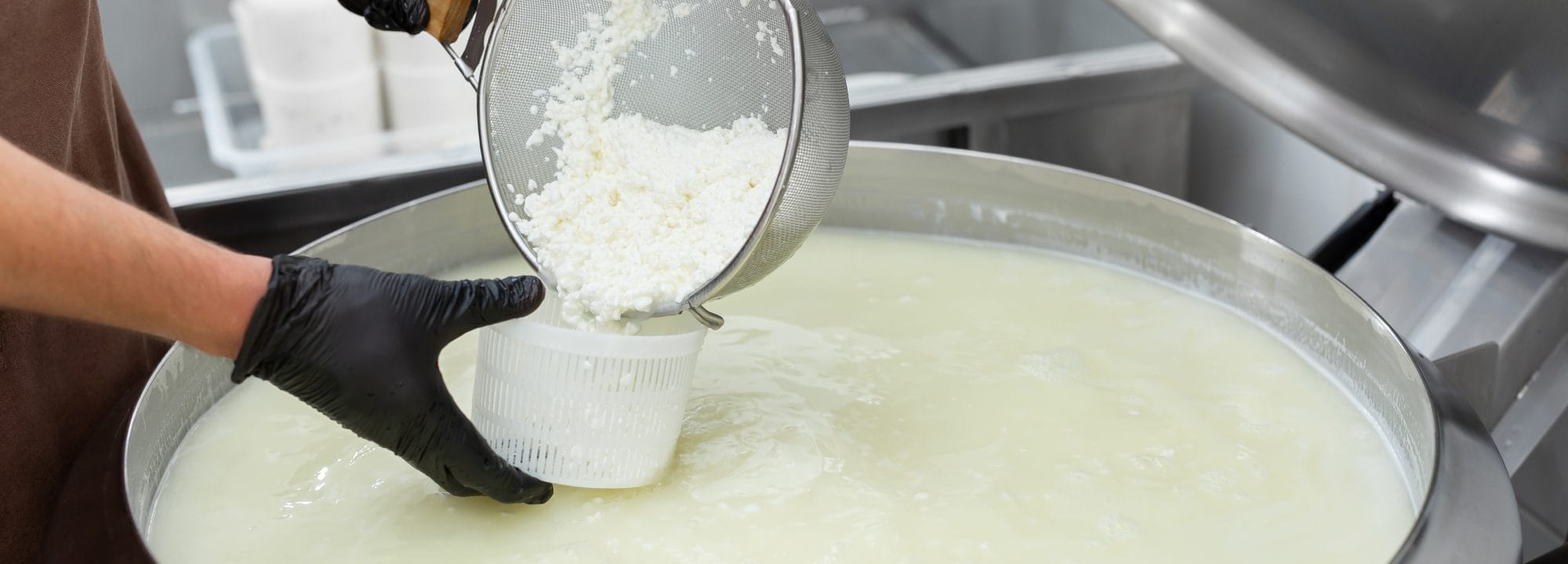 Cheese Making