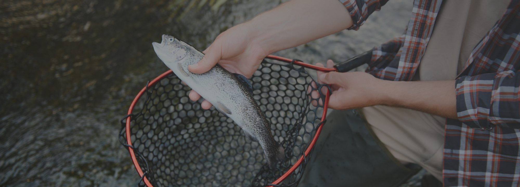 A man holding a fish in a net while standing in a river.